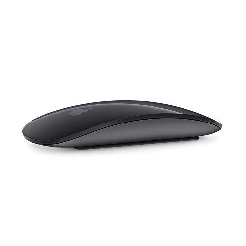 Apple Magic 2 - Mouse, Gris Espacial